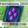 Home Zone 2600 04